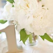 Kortnie Marshall's photo