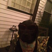 Jason Funk's photo