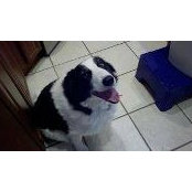 Catherine Tucker's photo