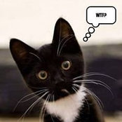 Meg Armistead's photo