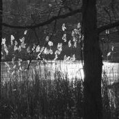 Norm Frigault's photo