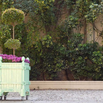 Versailles planter, Jardinier du Roi, French planters, orange tree planters Chat