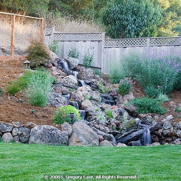 Ponds & Waterfalls from Treasure Valley Water Gardens