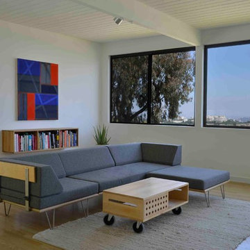 Charles Arnoldi / Richard Neutra Exhibition