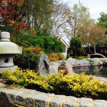 Planting around Koi Pond