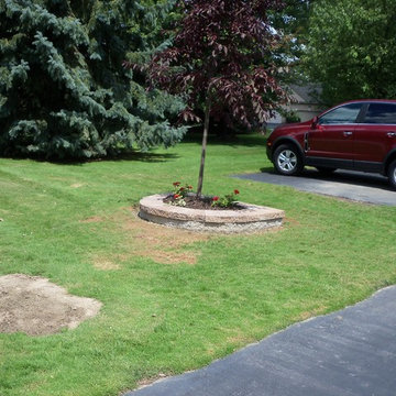 Barberry Dr. in Shelby Twp.