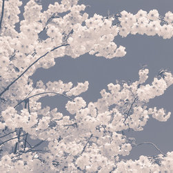 Blossom for the Bees - Wallpaper