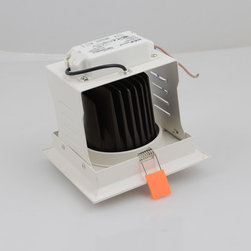 LED down light - Ceiling Lighting