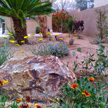 Side Yard Serenity