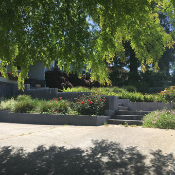 Los Altos - Contemporary Minimalist