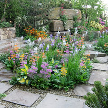 plants