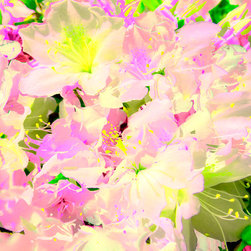 Fine Art Decor_Floral - Artwork