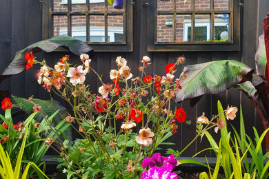 Photo of a garden in London.