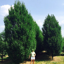Farms - Gardening And Lawn Care