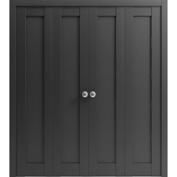 Closet Double Bi-fold Doors, Quadro 4111 Matte Black