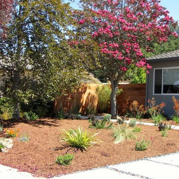 Cupertino Contemporary