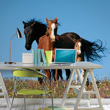 Horse Decor