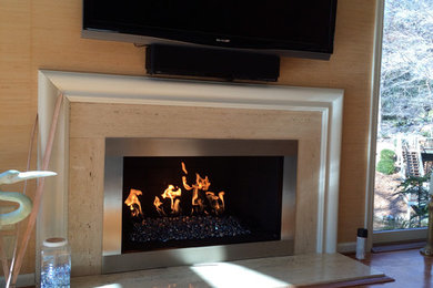 Gas & Stainless Fireplaces