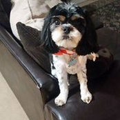 Lisa Wegner Bush's photo