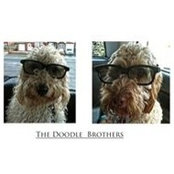 Jackie Murray's photo