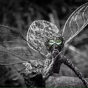 Rateesh Reddy's photo