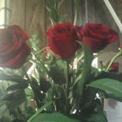 Debbie Housour's photo