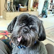 Cathy Smith's photo