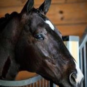 Regina Haslam's photo