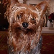 Patsy Patsy's photo