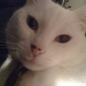 Patricia Duchene's photo