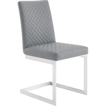 Copen Dining Chair (Set of 2) - Brushed Stainless Steel Gray