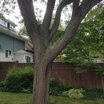 TREEHOUSE PLATFORM