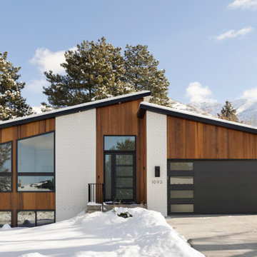 Midcentury Reborn