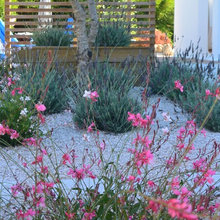 Portugal Landscaping