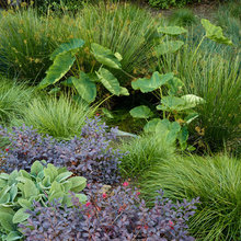 Plant Combinations That WORK