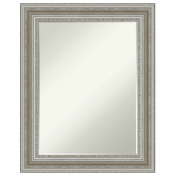 Parlor Silver Petite Bevel Wall Mirror 23.5 x 29.5 in.