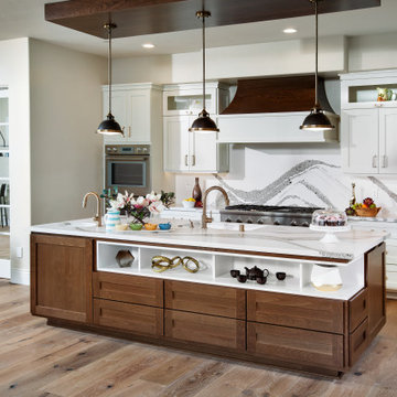 Folsom New construction Kitchen Design 1