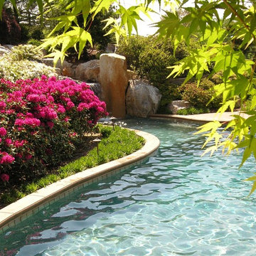 Manheim Swimming Pool Garden