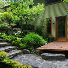 Shade Garden