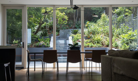 Yard of the Week: Peaceful and Lush Hillside Retreat in the City