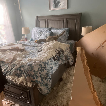 Emergency Water Removal