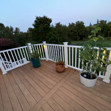 Land Scaping & Security System