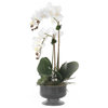 Real Touch Orchid & Succulent Arrangement