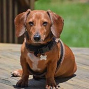 Alison Rudo's photo