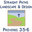 Straight Paths Landscape & Design LLC