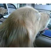 Carlos Zahm's photo