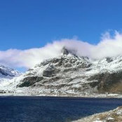 Foto von Martin Feuz