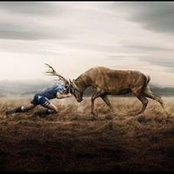 Daniel Bermudez's photo