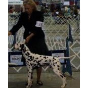 Lori Finlayson's photo