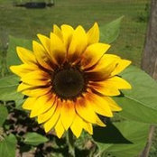 RandiAnn Harvey's photo